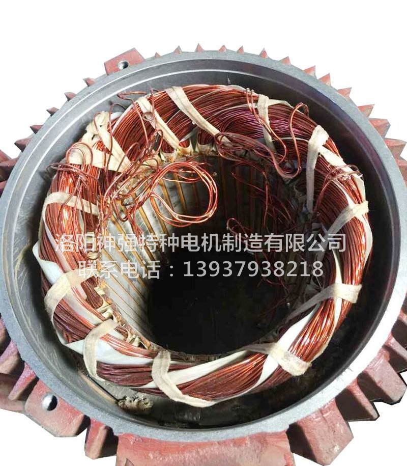 冬季冷卻塔電動機(jī)的保養(yǎng)范圍